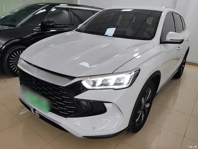 2024 BYD Song Pro New Energy Glory Edition DM-i 71KM Pilot, фото 1, лот 10272634