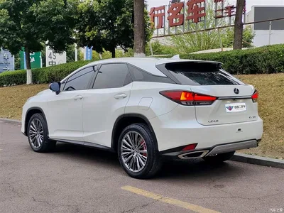 2020 Lexus RX Facelift 300 2WD Elite Edition, фото 4, лот 10316373