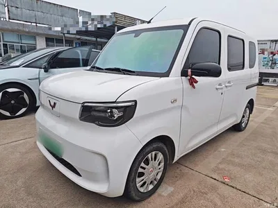 2025 Wuling Motors Wuling Zhiguang NEV Standard Version, фото 1, лот 10835303
