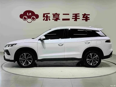 2025 BYD Song Pro New Energy 2nd Gen DM-i 75KM Leading Type, фото 2, лот 10274824