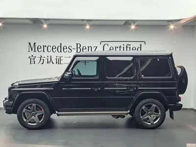 2016 Mercedes-Benz G-Class AMG Model AMG G 63 Edition 463, фото 2, лот 10259134