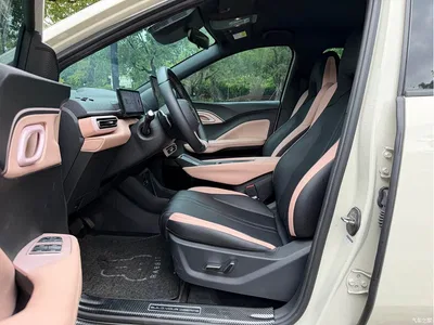 2025 BYD Seagull Smart Drive Edition 305km Freedom Version, фото 4, лот 10252935