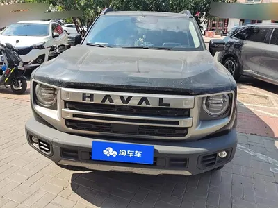 2024 Haval Big Dog 1.5T DCT Border Collie Edition, фото 2, лот 10837368