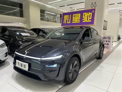 2025 Tesla Model Y Rear-Wheel Drive, фото 1, лот 10611700