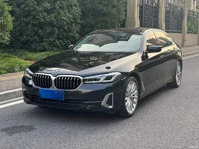 2022 BMW 5 Series Model Third Facelift 530Li Premium Luxury Package, фото 1, лот 11182118