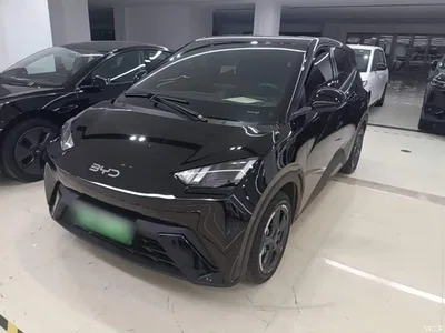 2024 BYD Seagull Glory Edition 305km Freedom Edition, фото 2, лот 10887034