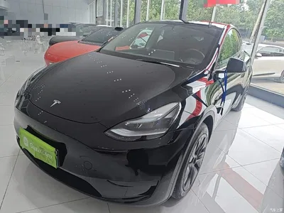 2023 Tesla Model Y Rear-Wheel Drive Edition, фото 2, лот 10370603