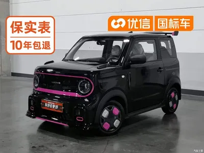 2025 Geely Galaxy Panda Model Year 210km Panda Kart, фото 1, лот 10345271