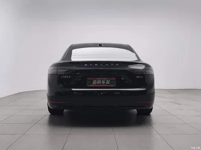 2024 Xiangjie Enjoy World S9 Pure Electric Ultra AWD Flagship Edition, фото 4, лот 10831840