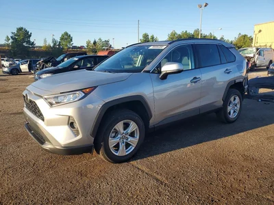 2020 TOYOTA RAV4 XLE, фото 1, лот 11305177