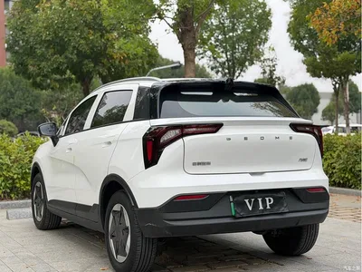 2024 Geely E Firefly Model 301km Light Flow, фото 4, лот 11192651