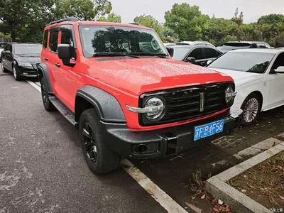 2021 Tank 300 Off-road Version 2.0T Conqueror, фото 2, лот 11210515