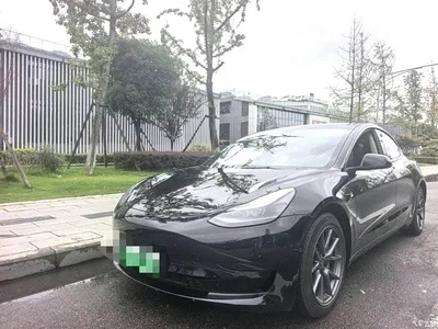 2023 Tesla Model 3 Rear-Wheel Drive, фото 1, лот 10816093