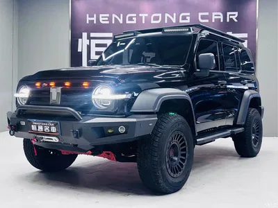 2021 Tank 300 Off-road Version 2.0T Conqueror, фото 1, лот 10344649
