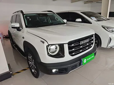 2021 Haval Big Dog 1.5T DCT 2WD Border Collie - Wangcai Edition, фото 4, лот 10361280