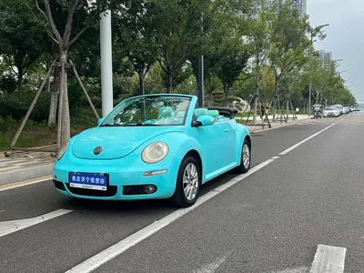 2009 Volkswagen Beetle 2.0 AT Top Convertible, фото 1, лот 10474206
