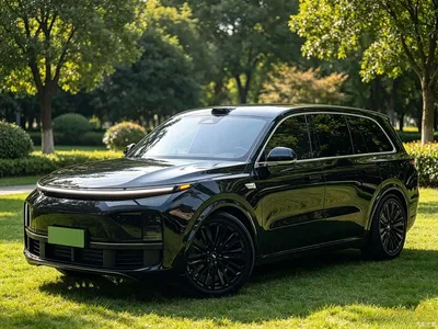 2022 Li Auto Li Xiang L9 Max, фото 1, лот 10824540