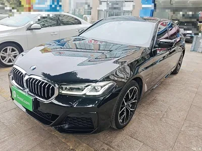 2021 BMW 5 Series 530Li Premium M Sport Package, фото 1, лот 10765048