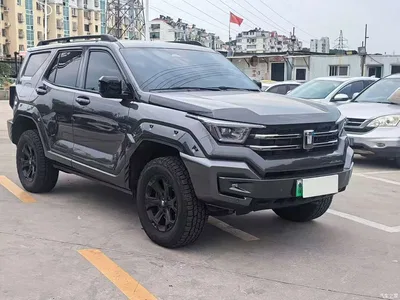 2024 Tank 400 New Energy Hi4-T Off-Road Edition, фото 3, лот 10769458