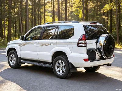 2004 Toyota Prado (Import) GX 2.7 Automatic, фото 4, лот 10385983