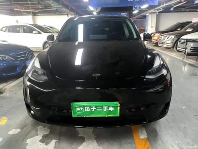 2023 Tesla Model Y Rear-Wheel Drive Edition, фото 3, лот 10370235