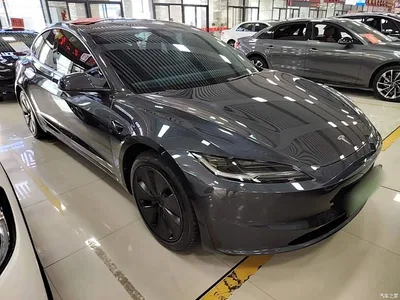 2025 Tesla Model 3 Model Rear-Wheel Drive Edition, фото 4, лот 10766701
