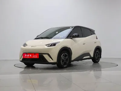 2024 Byd Seagull, фото 1, лот 10245516