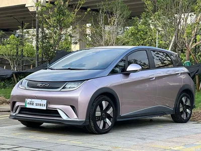 2021 BYD Dolphin 401km Knight Edition, фото 1, лот 10257001