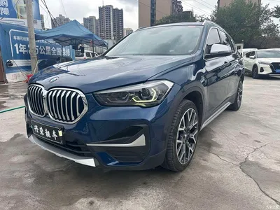 2022 BMW X1 xDrive25Li Premium, фото 1, лот 10465099