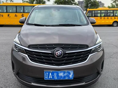 2021 Buick GL8 Land Business Class 652T Luxury, фото 3, лот 10252577