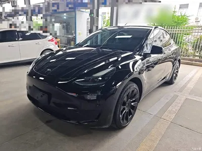 2023 Tesla Model Y Rear-Wheel Drive Edition, фото 1, лот 11204571