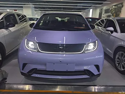 2023 BYD Dolphin 420km Freedom Edition, фото 3, лот 10260790