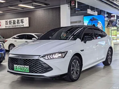2023 BYD Qin PLUS Champion Edition DM-i 55KM Leading, фото 1, лот 10363040