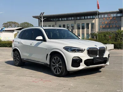 2020 BMW X5 (Import) xDrive40i M Sport Package, фото 3, лот 10463445