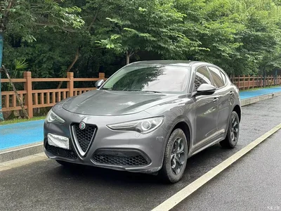 2017 Alfa Romeo Stelvio 2.0T 200HP Luxury Edition, фото 1, лот 11205295