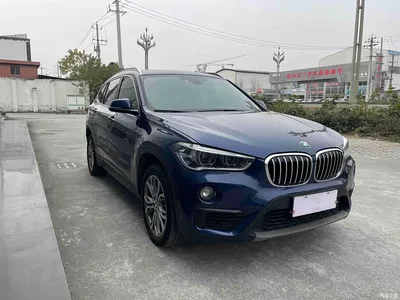 2019 BMW X1 sDrive20Li Leading Model, фото 2, лот 10465033