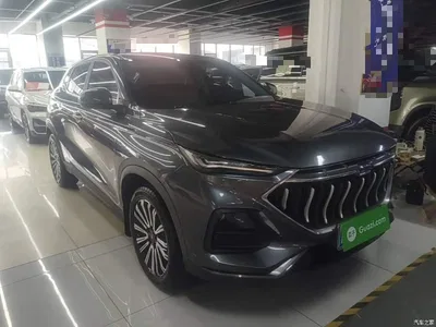 2021 Changan Oshan Changan Oushang X5 1.5T DCT Premium, фото 4, лот 11162636