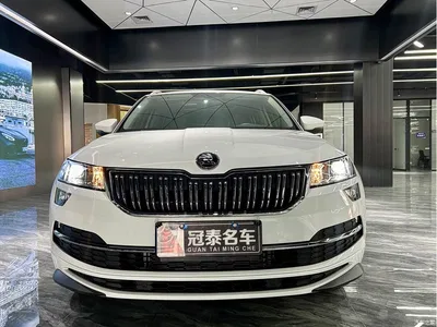 2024 Škoda Karoq TSI280 Premium Edition, фото 2, лот 10349094