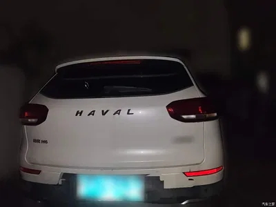 2020 Haval H6 1.5GDIT Automatic Platinum Luxury Edition, фото 3, лот 11563615