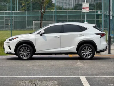 2020 Lexus NX 300h FWD F Sport China VI, фото 3, лот 11139551