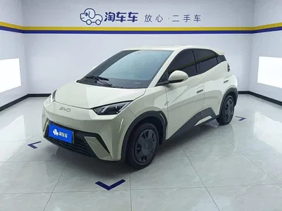 2024 BYD Seagull Glory Edition 305km Vitality Edition, фото 1, лот 10246838