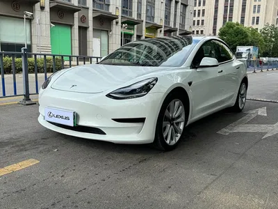 2019 Tesla Model 3 Standard Range Rear-Wheel Drive Upgrade, фото 1, лот 11073151