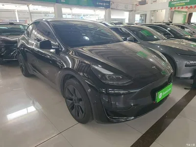 2023 Tesla Model Y Rear-Wheel Drive Edition, фото 4, лот 10376575