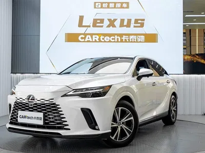2025 Lexus RX 300 4WD Premium Edition, фото 1, лот 10385571