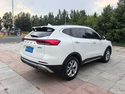 2021 Haval H6 Model National Trend Edition 1.5T Auto Champion, фото 4, лот 10295702