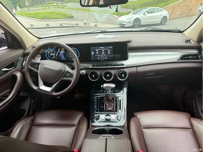 2018 Leopaard Mattu 1.6T GDI DCT Elite, фото 4, лот 11648396