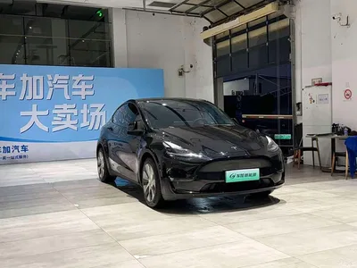 2021 Tesla Model Y Model Long Range AWD, фото 3, лот 10846298