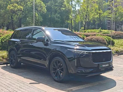 2020 Li Auto Li ONE Extended Range 6-seater, фото 3, лот 10825303