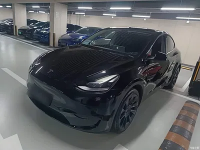 2022 Tesla Model Y Rear-Wheel Drive Version, фото 1, лот 10370268