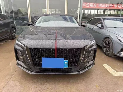 2025 Hongqi H5 1.5T DCT Flag Rhythm 500,000 Units Memorial Edition, фото 2, лот 10288658